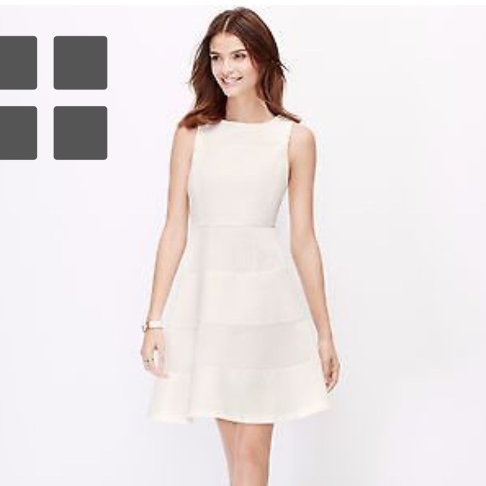 NWOT Ann Taylor Dress Size 10P